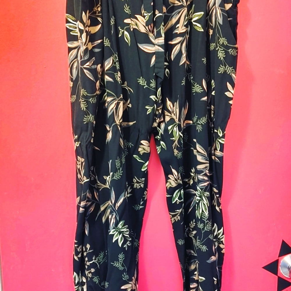 Size 2x pants